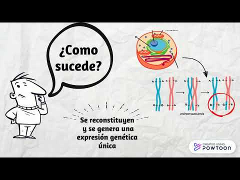 Vídeo: La Impronta Genómica Más Allá De La Metilación Del ADN: Un Papel Para Las Histonas Maternas