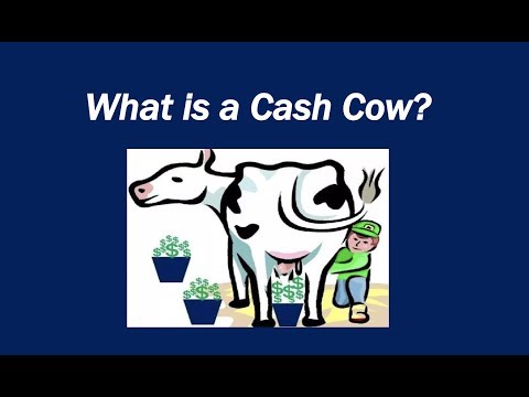 Video: Co je to dojná kráva?