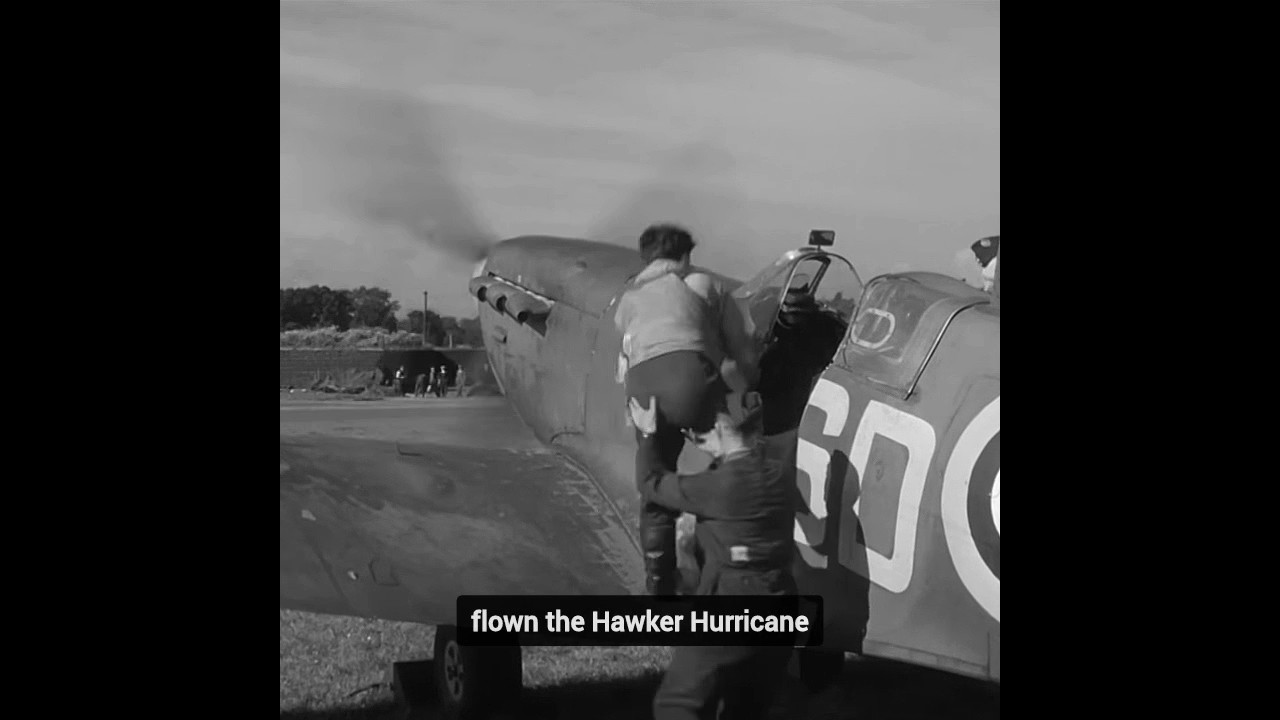 501 Squadron: The Spitfire Pilots Who Fought in France and Britain - 