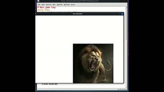 python code for draw Amazing lion