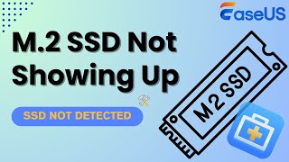M.2 SSD Not Showing Up or Detected in Windows 11/10? Fixed Now!