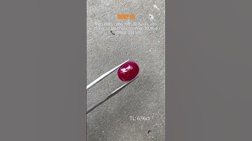 Đá Ruby cabochon 6,96ct Myanmar màu đỏ huyết🥰 #ruby #viralvideo #myanmar #daquy