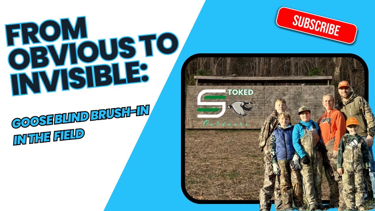 From Obvious to Invisible: Goose Blind Brush-In Season 3 Episode 2 ...