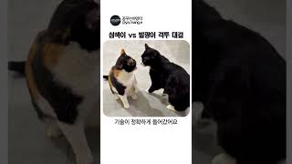 삼색이 VS 발광이 격투 대결