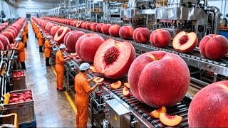 Famous Inside a Modern Peach Processing Plant: From Farm to Canned Peaches (The whole process) Profile
