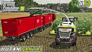 Silage Logistics, Fertilizer Production & Corn Harvest with New Equipment | FS25 | Hutan Pantai |#73