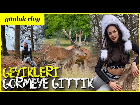 GEYİKLERİ GÖRMEYE GİTTİK - Benimle bir gün | Günlük Vlog #43