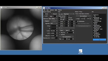 Real-time motion compensation in holographic retinal imaging with Holovibes