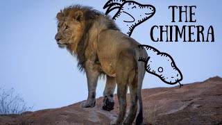 The Chimera | 30 Mythical Beasts | Original Piano Composition
