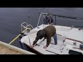 Beginning of video