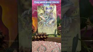 Enjoy this process of renewal, find magic in every moment #dailymessage #frog #spiritanimal #foryou
