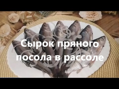 Засолка рыбы сырка в домашних условиях рецепты