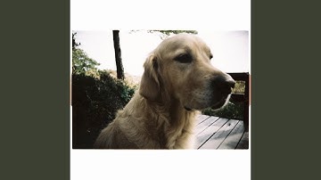 An Introverts Guide To Success