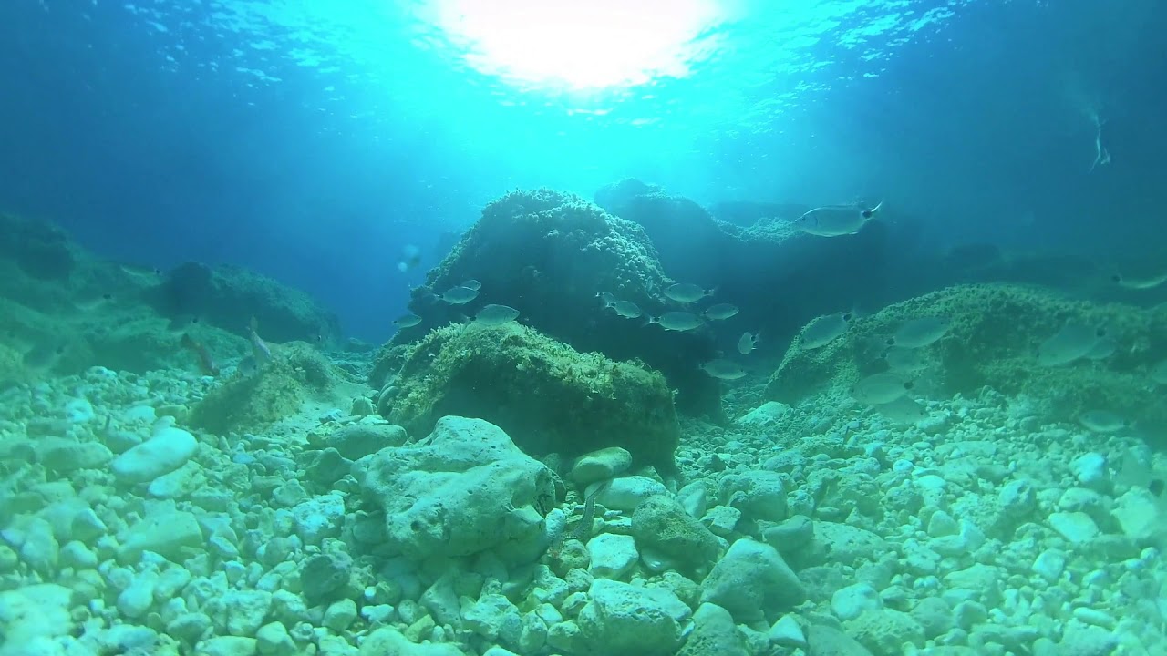 ♪[Fish Bowl] Pop Instrumental music relax/study ♪ 