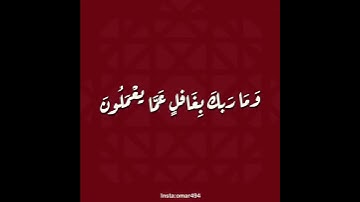 وما ربك بغافل عما يعملون - القارئ عمر بن عبدالعزيز