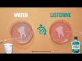 Get A Cleaner Healthier Mouth With Listerine Cool Mint