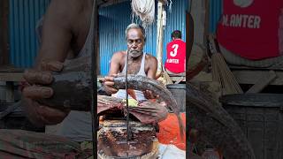 Amazing Rohu fish cutting by the expert fish cutter- EP 24 #shorts