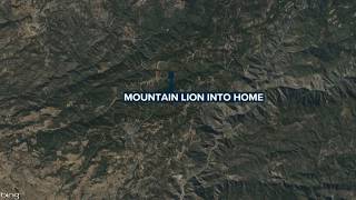 Mountain lion attack raises warning for pet owners in Calaveras County