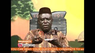 LESSONS HUMANS CAN LEARN FROM ANIMALS
