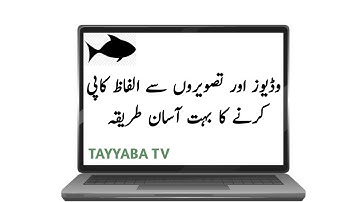 How To Use Copyfish OCR Software | A Simple Method To Copy Pictures And Videos Text