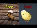 [BDO] 2020 Pet Tier List/ Guide/ Myths/ Free Pets