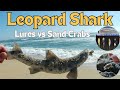Lures vs. Sand Crabs: The Ultimate Surf Fishing Showdown!
