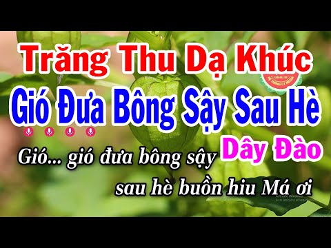 Karaoke Gió Đưa Bông Sậy Sau Hè | Trăng Thu Dạ Khúc Dây Đào