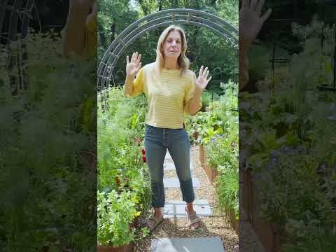 Video: Muskietbehandeling - wenke vir tuiniers