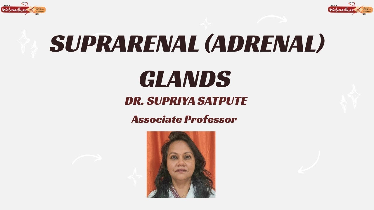 SUPRARENAL (ADRENAL)GLANDS