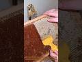 Honey Scraper Trick | Honeycomb Uncapping Hack for Faster Honey Extraction #HoneyHack