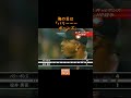 「バリ～～～ボ～ンズ　#Shorts