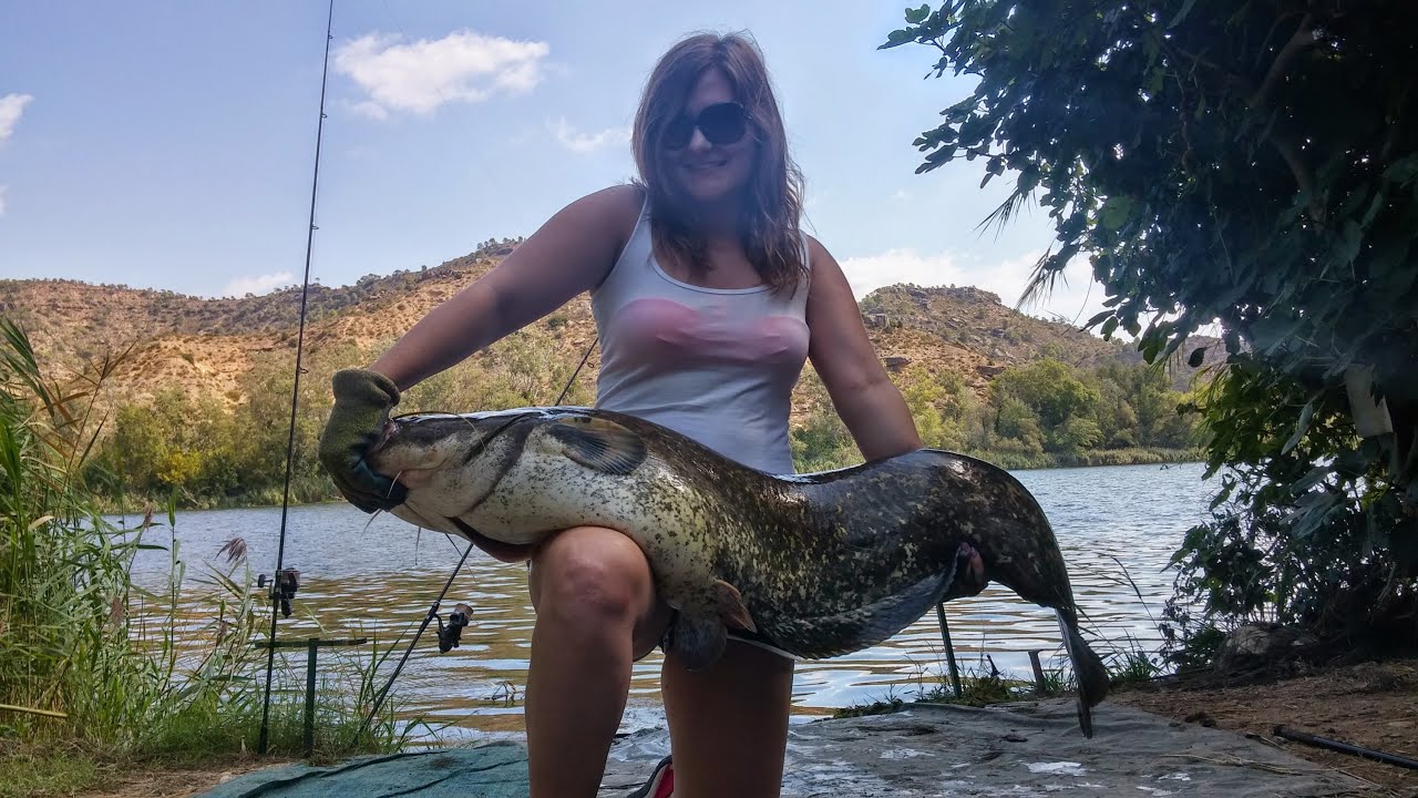 Catfishing at Ebro Mad Cats, River Ebro, Spain. YouTube
