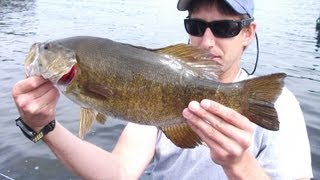 Shore Casting Buzz Bombs For October Bass - Fishing Victoria, B.C. 