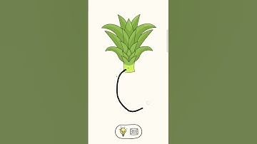 DOP Draw one part level 142