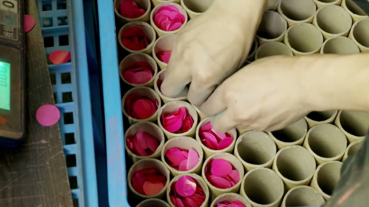 Pegasus production line