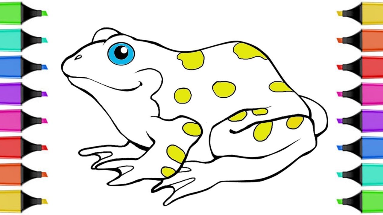 Coloring Book Frog | Learn Colors For Kids With Frog | Drawing And Art