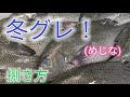 [魚の捌き方]メジナ捌き方！
