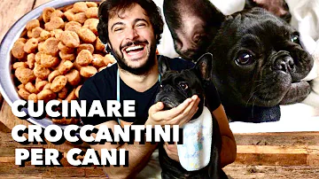 Quanta avena dare al cane?