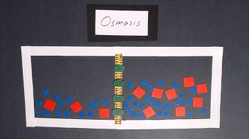 Osmosis Video Project - Biology 12
