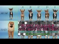 I Bred a Chihuahua and a Chow in The Sims 4… The Puppies Are Pure Chaos 😂🐶#thesims4 #puppy #cute #4u