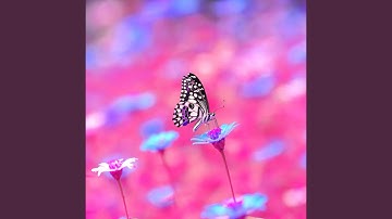 Background for llustrious Shapes