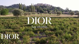 Dior Les Récoltes – Grasse Rose
