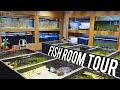 Every Single Fish in the Aquarium Co-Op Fish Room [Fish Room Vlog]