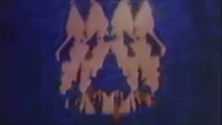 Amygdala Aka... Push It Back Demo Visual Video