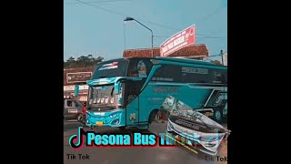 Pesona Bus Tik Tok 2020