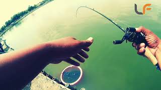 Split Shot Rigring Shadlf Wacky Hook