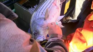 Keystone 2012.wmv