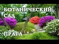 Ботанический сад в Праге - Botanická Zahrada