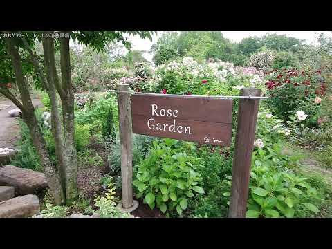 おでかけ:おおがファーム OGA FARM① ~小林消防設備 福岡県豊前市 全類消防設備士 第二種電気工事士 経営学修士~