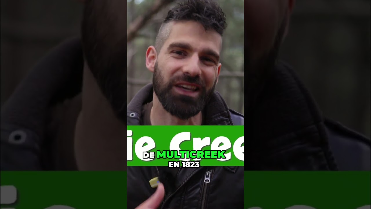 Les Indiens de Floride : Esclaves et Terres #shorts